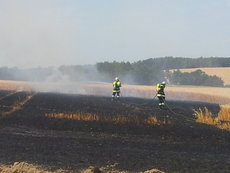 Einsatz vom 04.08.2013