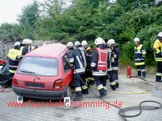 Gemeinschaftsübung THL mit FF Landau